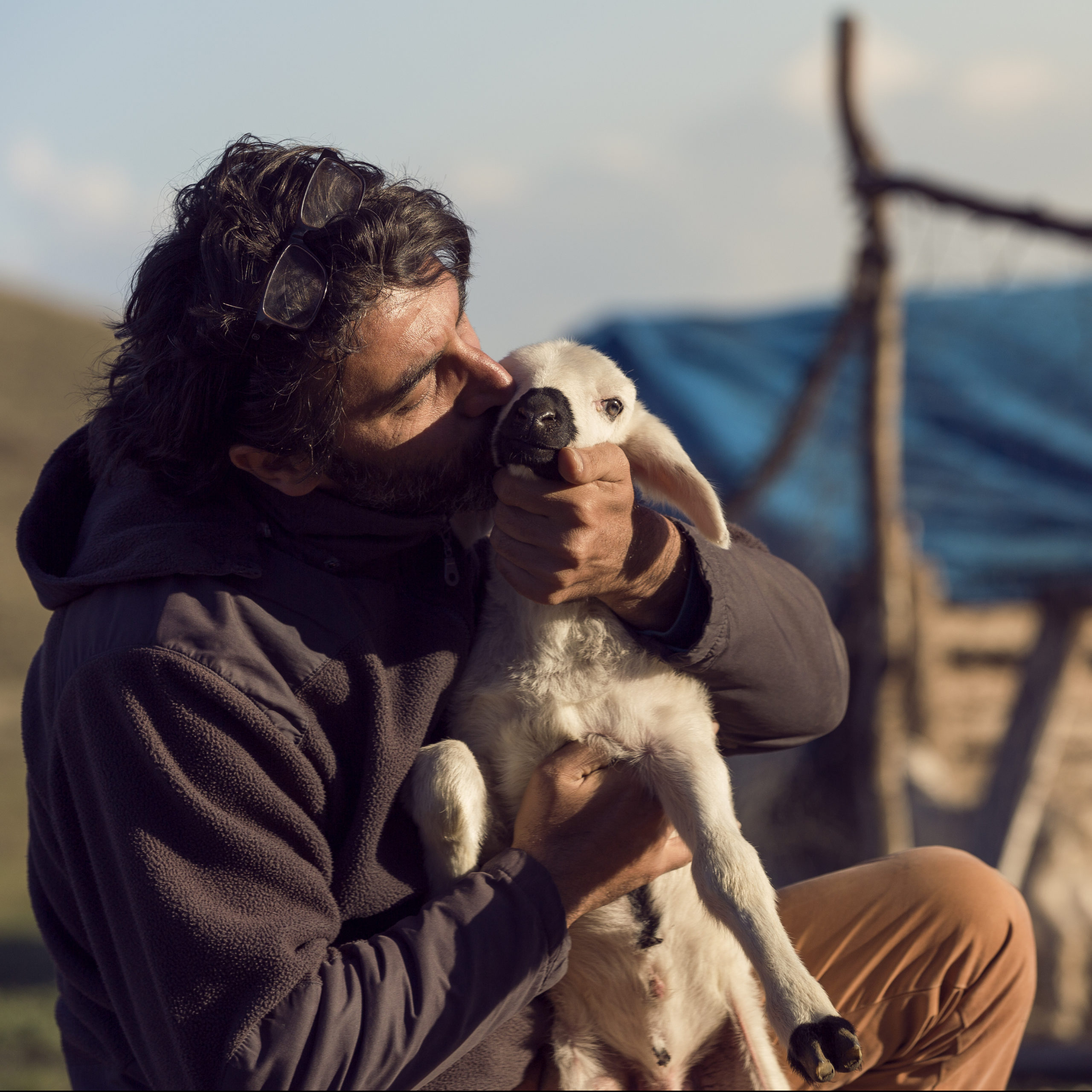 Tending to the lost sheep of israel missions door