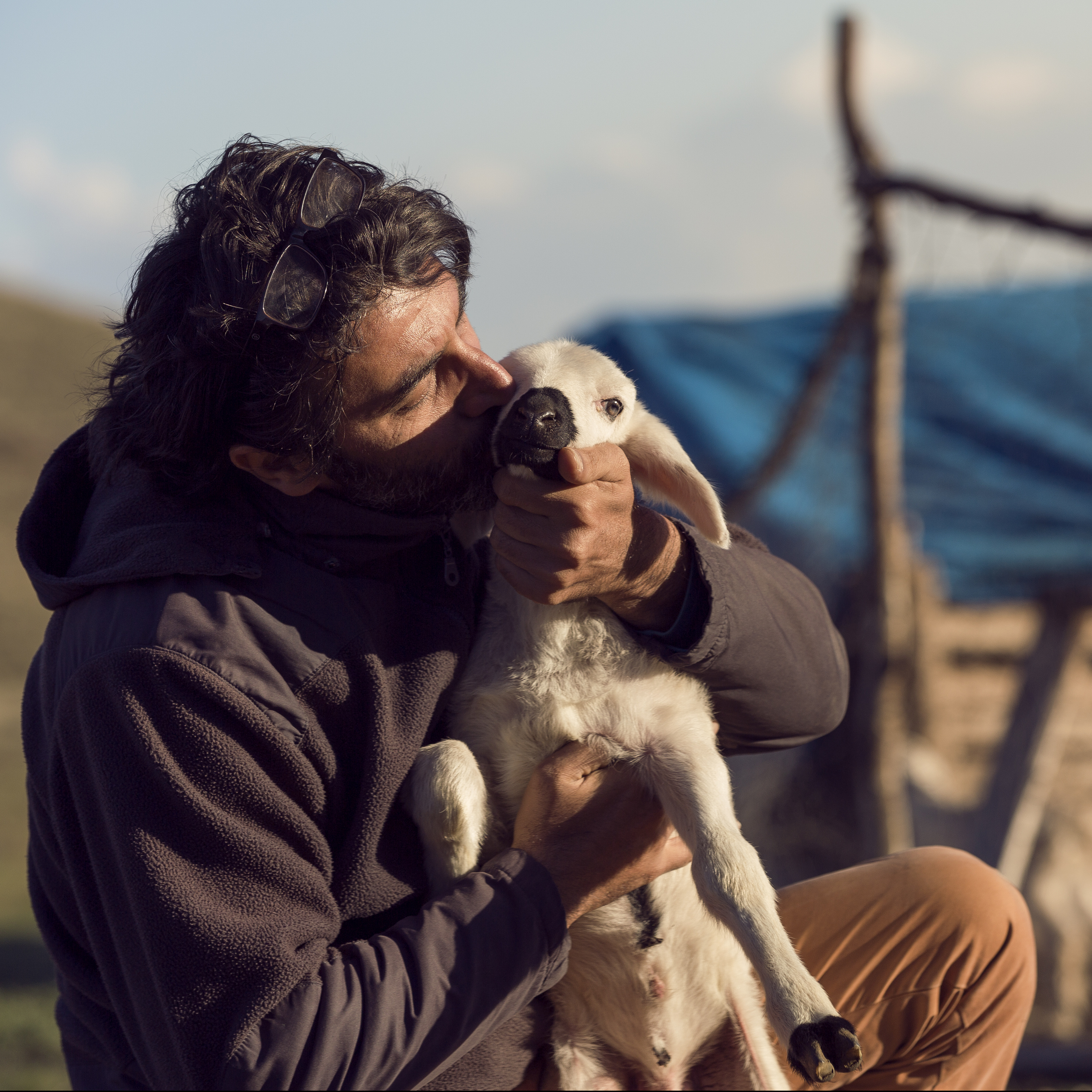 Tending to the Lost Sheep of Israel