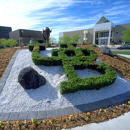 UB pic UB pic